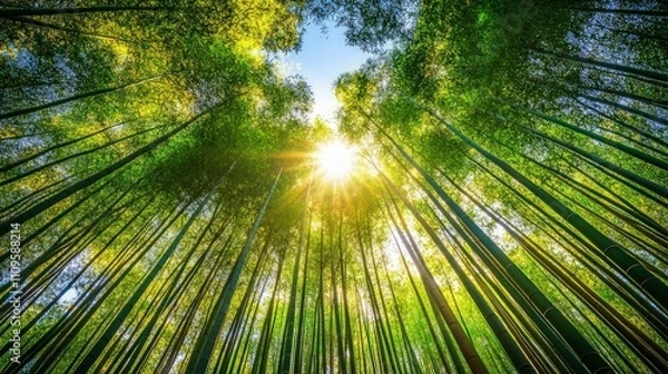 Fototapeta Lush Bamboo Serenity, a tranquil green bamboo forest enveloping viewers in a calming ambiance, perfect for relaxation areas or wellness retreats