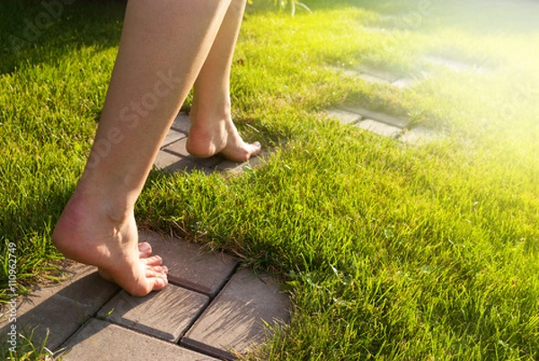 Obraz path in a garden