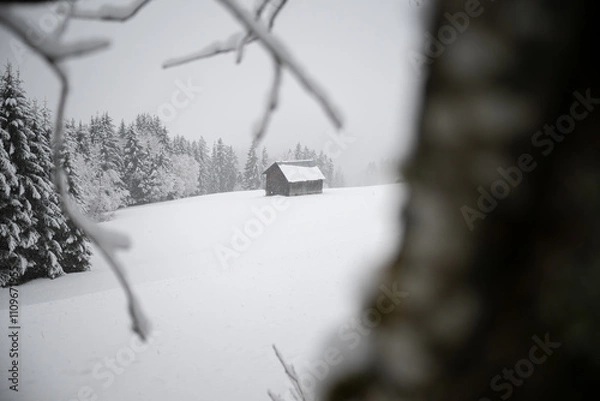 Obraz Hütte im Winter