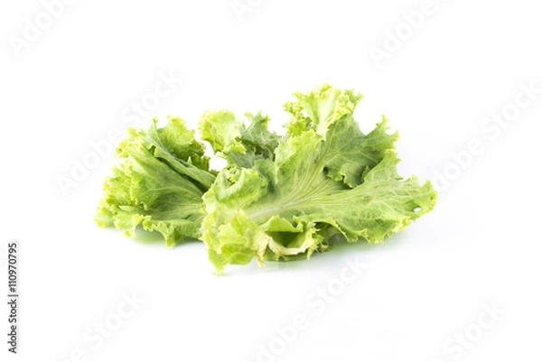 Obraz Salad leaf. Lettuce isolated on white background.