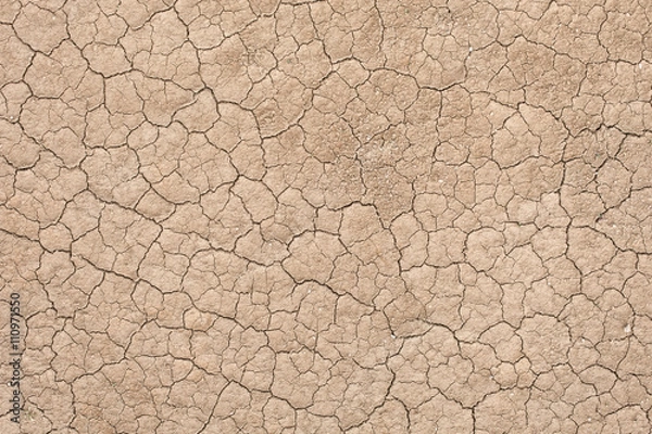 Fototapeta Cracked soil