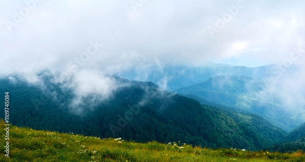 Fototapeta View of the forest from the mountain. Fog. Alps