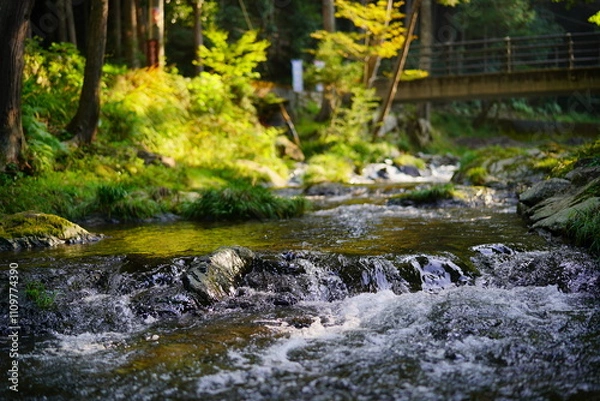 Obraz 岐阜県八百津町　五宝滝公園に流れる清流