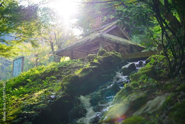 Obraz 岐阜県八百津町の五宝滝公園　朝日が差し込みゴーストが写りレトロな雰囲気
