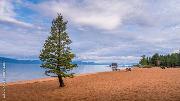 Fototapeta At Nevada Beach on Lake Tahoe, fine golden sands line the shoreline, providing a perfect contrast to the clear waters of the lake. 