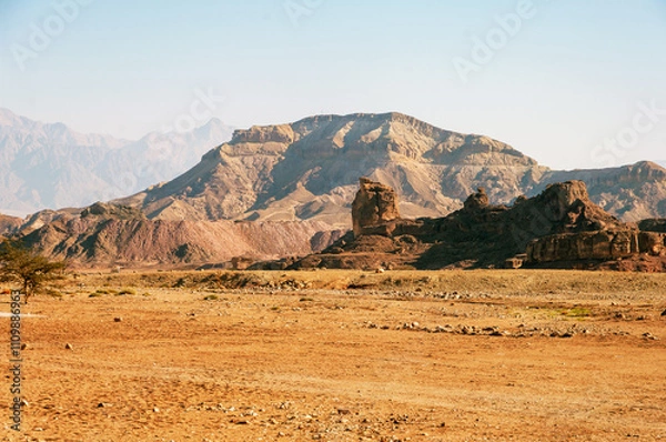 Fototapeta A desert landscape with a mountain in the background