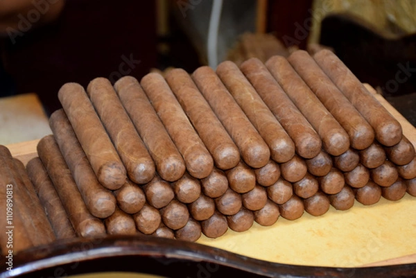 Fototapeta Loads of Cigar at a Cigar factory . A Cigar is a roll of tobacco that is wrapped in tobacco leaf or a substance that contains tobacco