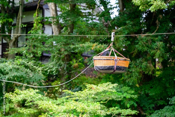 Fototapeta 真夏の厳美渓の郭公だんご