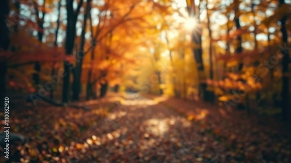 Fototapeta A hazy view of a forest path covered in fallen leaves with sunlight filtering through the trees