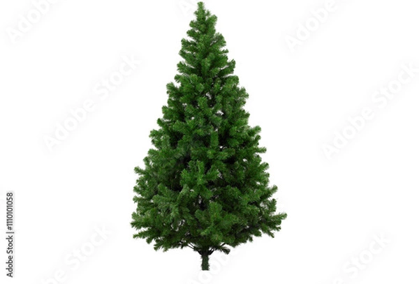 Fototapeta chrismast tree with blank background