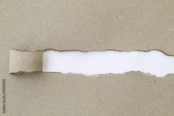 Fototapeta Blank burnt torn paper. Write your message.