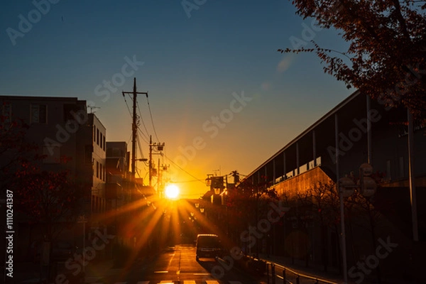 Obraz 東京の二子玉川の夜明けの風景