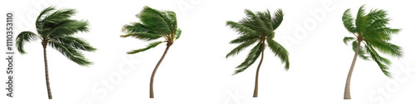 Obraz Windswept palm trees sway dramatically, showcasing their resilience against stormy winds. Their dynamic movement captures essence of nature power and beauty