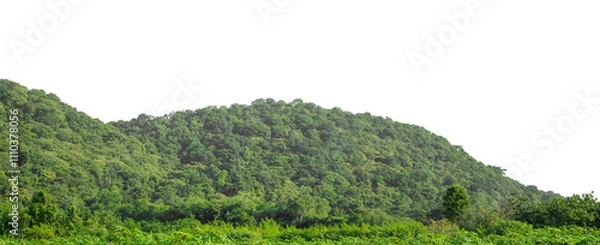 Fototapeta Beautiful Mountain isolated on transparent background with clipping path and alpha channel, high resolution.