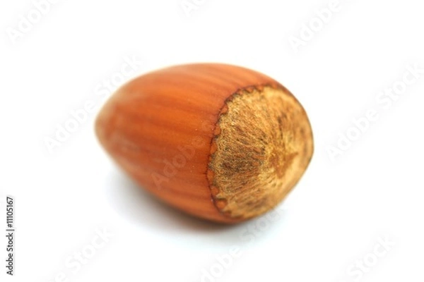 Fototapeta Haselnuss