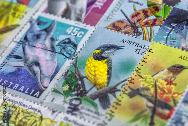 Fototapeta Philately.Collection of stamps and magnifying glass.Collection of vintage animal stamps.A page of storage book album for storing old postage stamps.