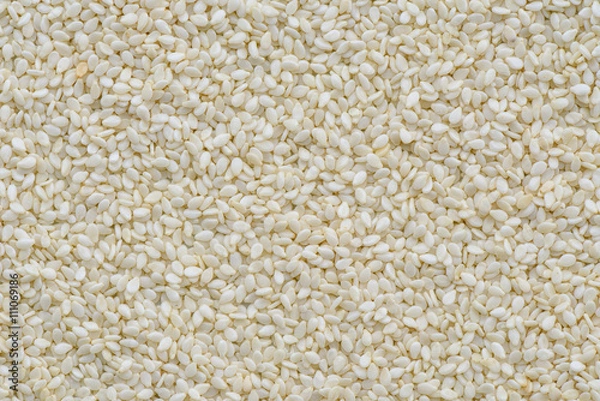 Fototapeta White sesame seed background