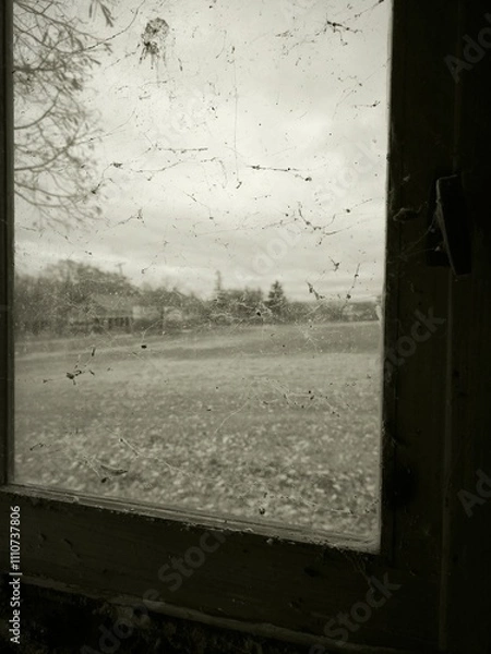 Fototapeta A vintage retro window with cobwebs, offering a serene view of the countryside, capturing an old, nostalgic atmosphere.