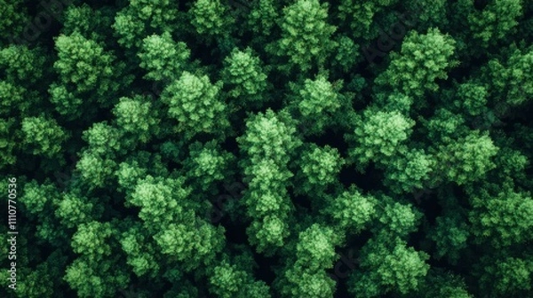 Fototapeta Lush Green Forest Canopy Aerial View Showcasing Dense Tree Coverage, Vibrant Foliage, and Nature's Breathtaking Patterns for Scenic and Eco-Friendly Themes