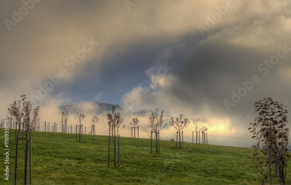 Obraz Durch ein Loch im Nebel sieht man die Alpen im Vordergrund eine Wiese mit jungen Bäumen