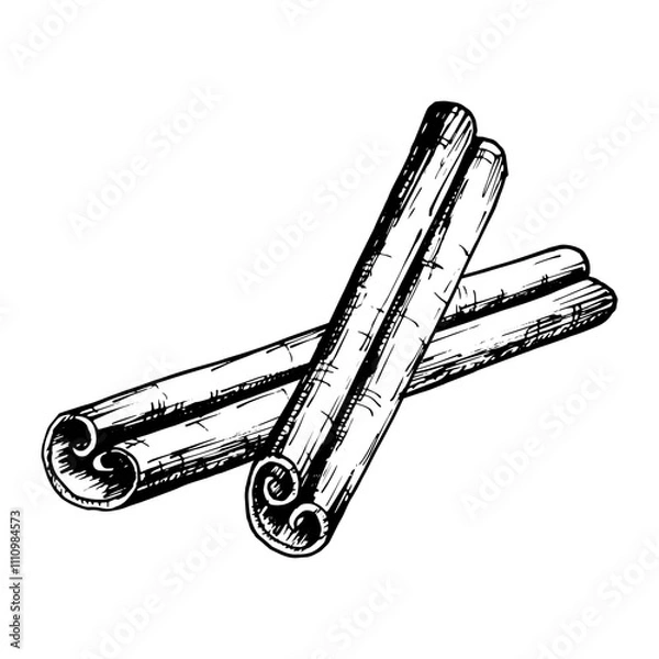Fototapeta Hand drawn vector illustration of crossed cinnamon sticks in detailed black and white line art. Perfect for use in culinary, holiday and aromatic themed designs, packaging and creative projects.