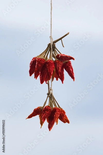 Obraz Dry red chili pepper, tied in a rope to ripen.