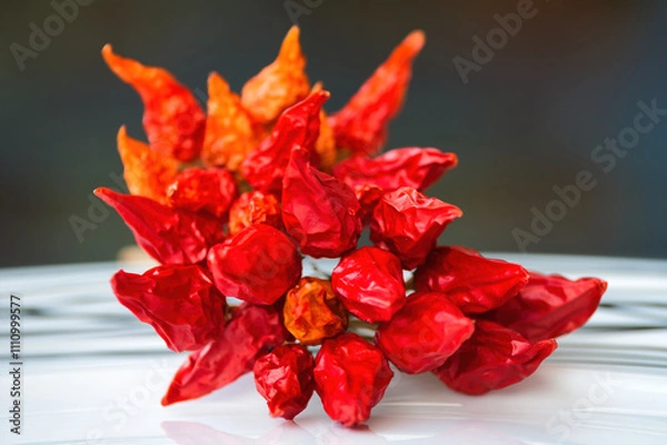 Obraz Dry red chili pepper, tied in a rope to ripen.