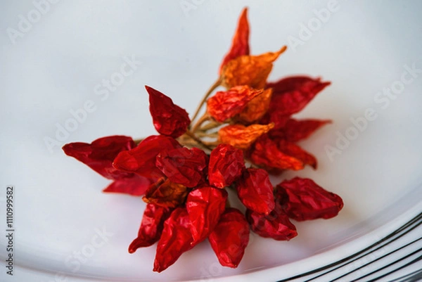 Obraz Dry red chili pepper, tied in a rope to ripen.