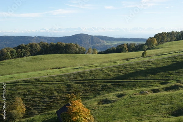 Fototapeta vue des alpes