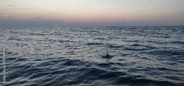 Fototapeta Beach and Sea