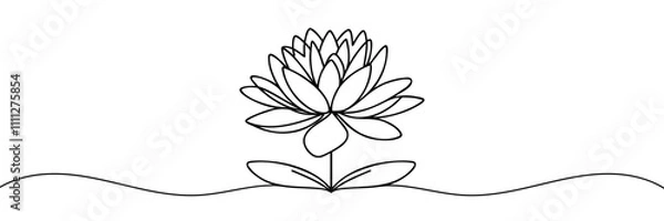 Fototapeta Water lily, lotus flower vector continuous one line drawing on white background minimalist.