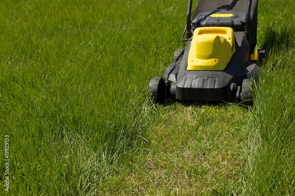 Obraz Стрижка газона газонокосилкой.