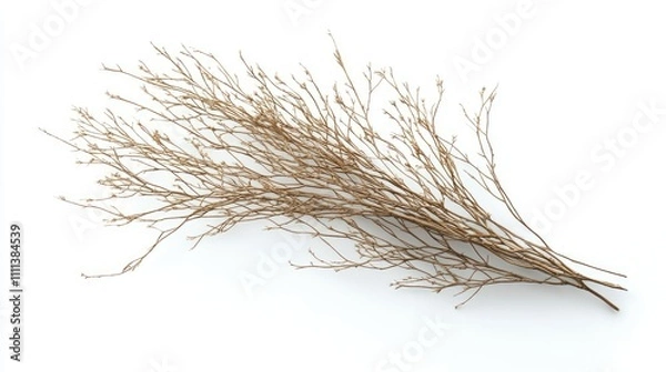 Fototapeta A single dry tumbleweed with intricate branches, isolated on a clean white background