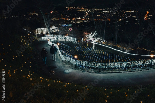 Obraz イルミネーション