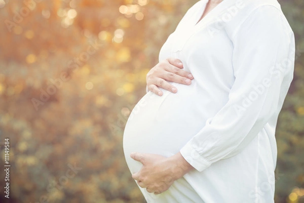 Obraz pragnant woman touching her belly while standing in park, mother and pragnant concept, vintage colour style