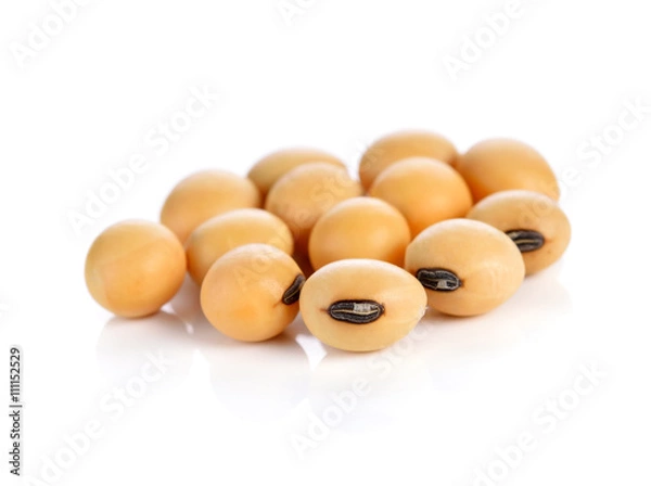 Obraz soy beans on white background.