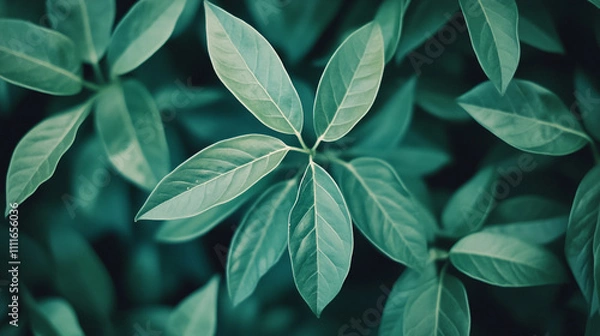 Fototapeta Vibrant green leaves showcasing nature's intricate patterns and textures in soft light