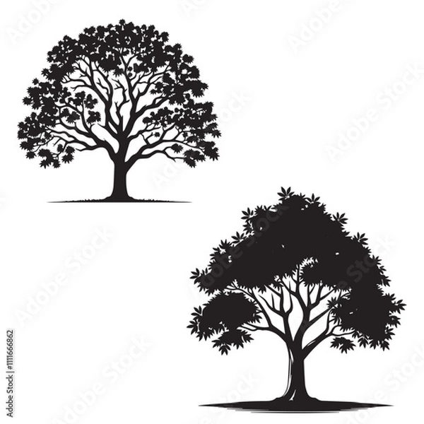 Obraz Pecan  tree  silhouette  set -  pecan vector image - Fruit tree - tree icon set 
