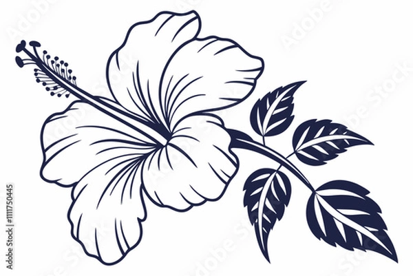 Obraz Hibiscus Flower Outline, Hibiscus Flower, Hibiscus flower vector illustration with line art,  Hand drawn hibiscus flower, Line Art Hibiscus Flower