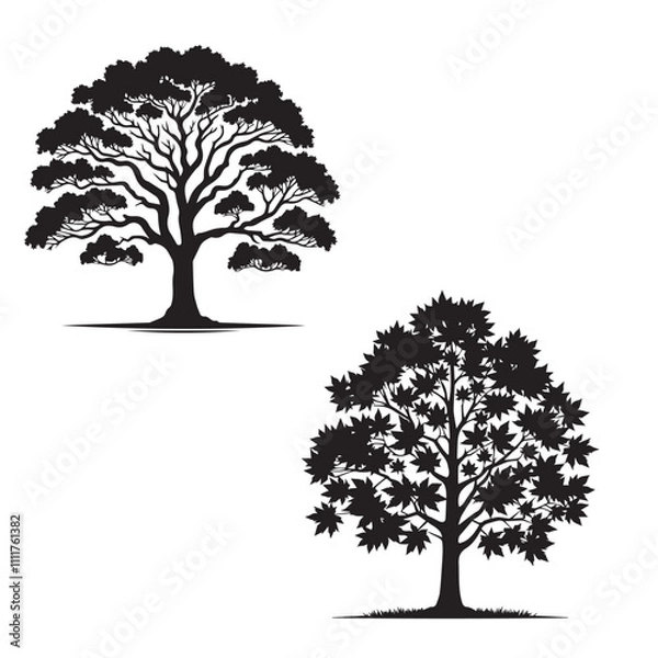 Obraz Sweetgum tree silhouette - vector image of sweetgum - tree silhouette - nature symbol - sweetgum tree set 