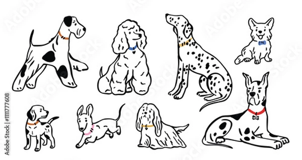 Fototapeta Different dogs breeds Line art  pedigrees set. Corgi, Poodle, Dachshund, Poodle, Dalmatian, Terrier collection. Flat vector