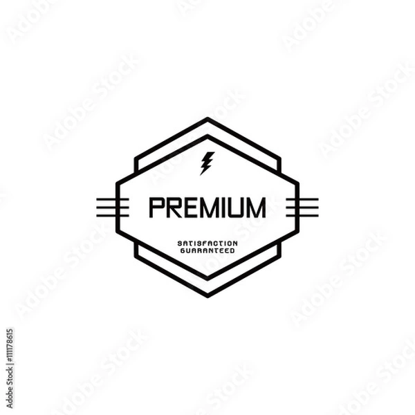 Obraz modern vintage logo template