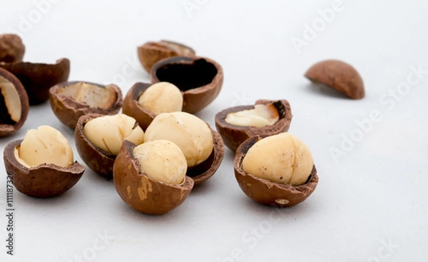Fototapeta macadamia nuts fruits with shell on white background