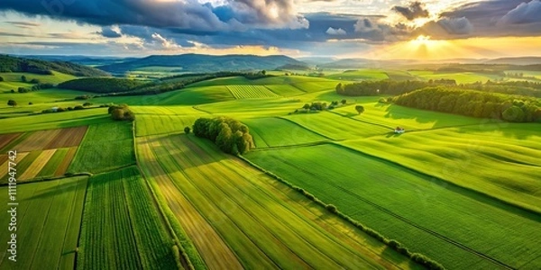 Fototapeta Aerial View of a Lush Green Grass Field with Expansive Copyspace Ideal for Backgrounds, Nature Themes, and Minimalist Designs for Various Creative Projects and Presentations