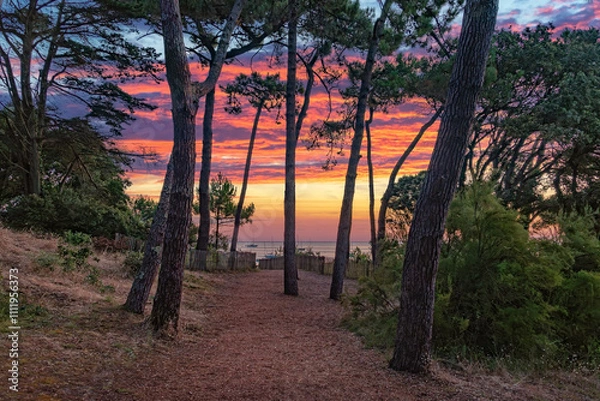Fototapeta Plage des Dames, île de Noirmoutier