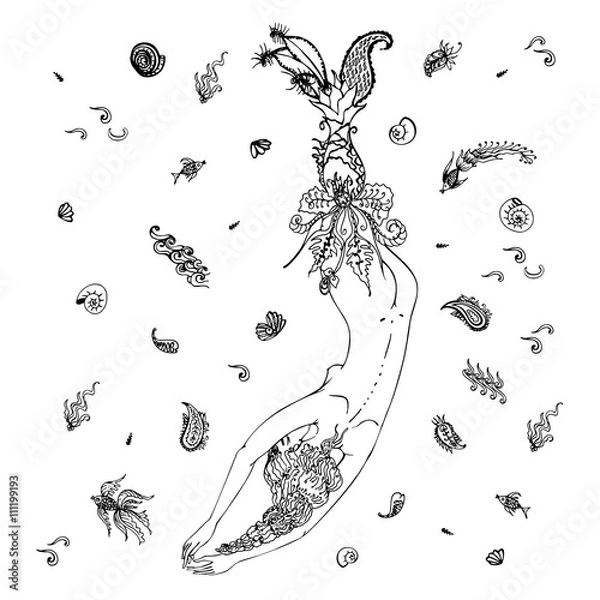 Obraz Mermaid with long hair and tails of sea plants. Paisley-style background of diverse sea life. Hand drawn in ink. Vector Illustration