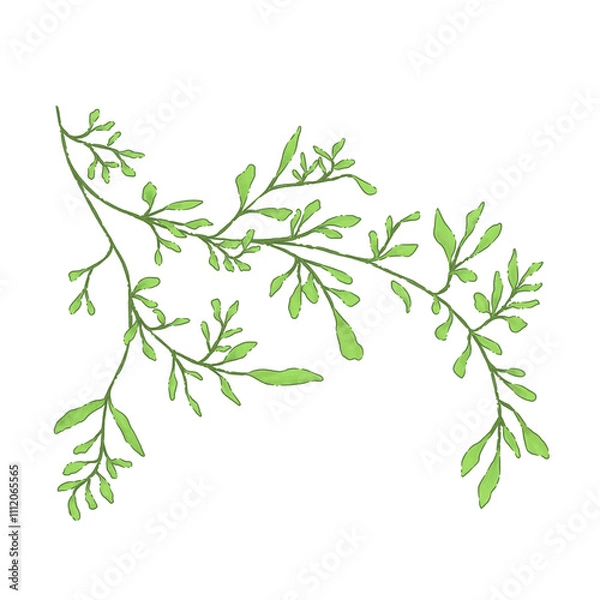 Obraz branch with green leaves