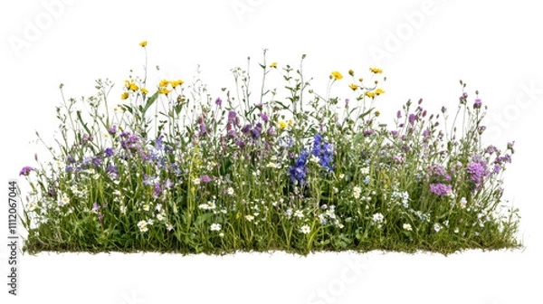 Fototapeta Flower meadow in spring transparent background