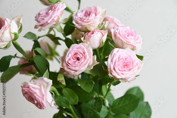 Fototapeta ピンクのスプレーばら