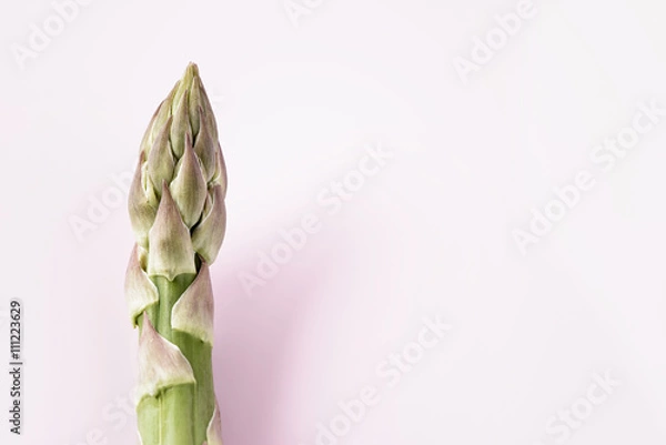 Obraz Fresh green asparagus